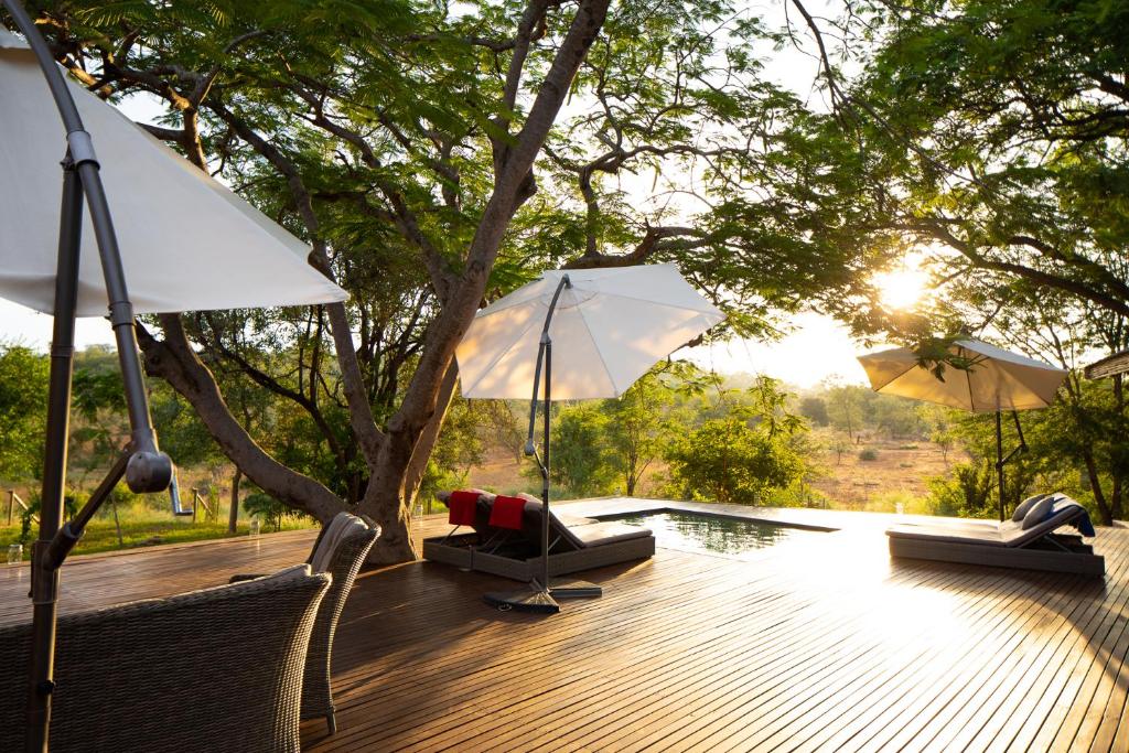 eine Terrasse mit Stühlen, Sonnenschirmen und einem Pool in der Unterkunft Sangasava Safari Lodge in Balule Game Reserve
