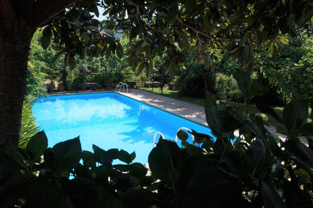 een zwembad in een tuin met bomen bij Casa Das Obras in Manteigas