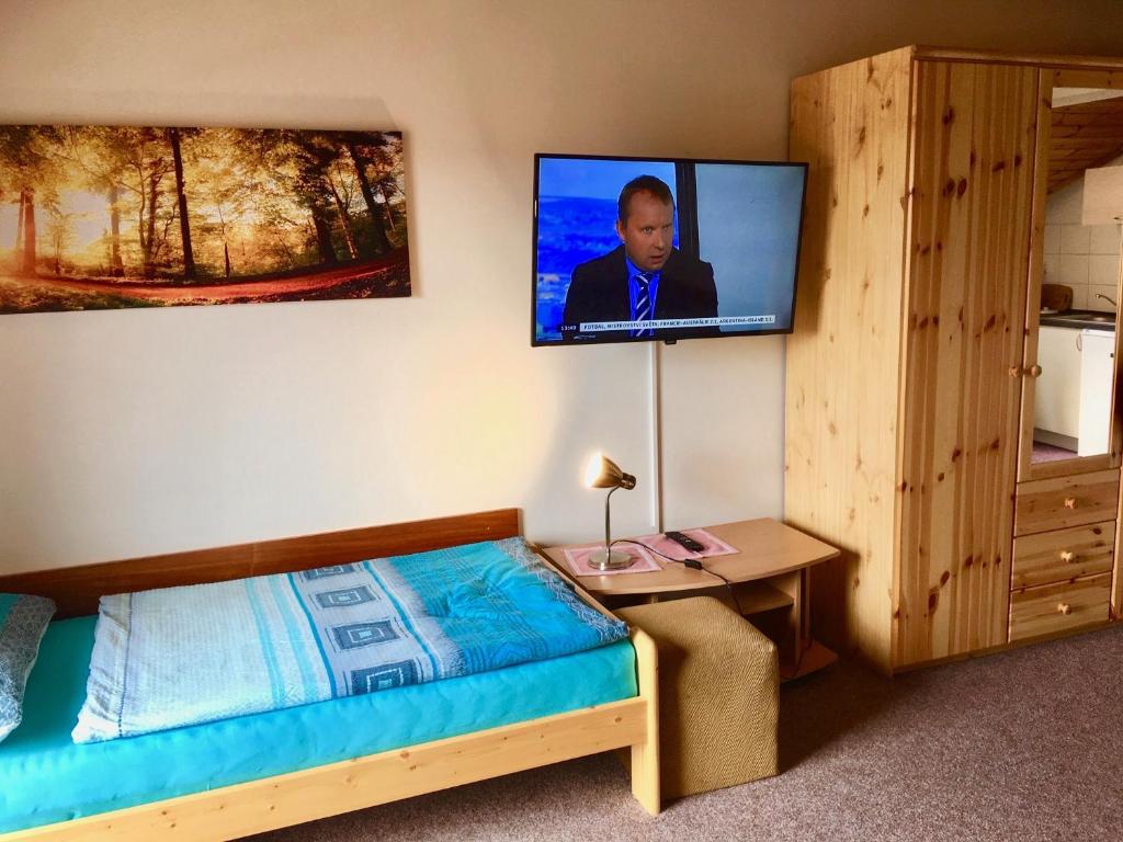 TV a/nebo společenská místnost v ubytování Apartments Lipno Serafin