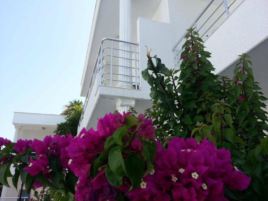 Costa Maya Bodrum - 3