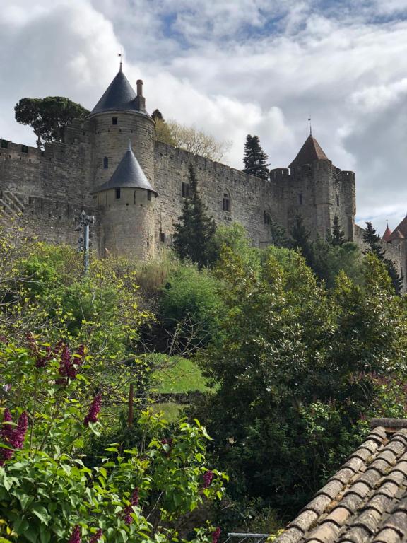 un vieux château au sommet d'une colline plantée d'arbres dans l'établissement Côte de la Cité, à Carcassonne