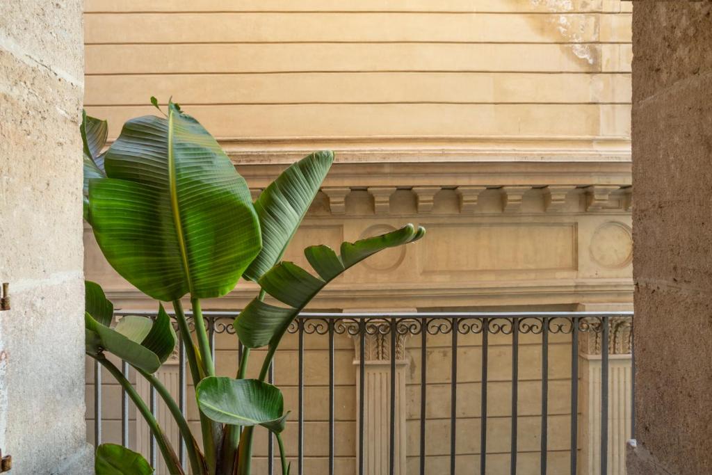 Fotografie z fotogalerie ubytování Hostal Sol y K v destinaci Barcelona