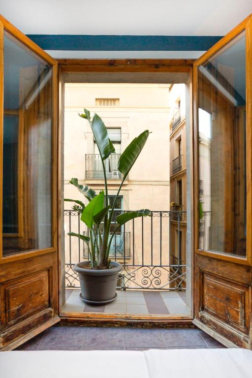 Fotografie z fotogalerie ubytování Hostal Sol y K v destinaci Barcelona