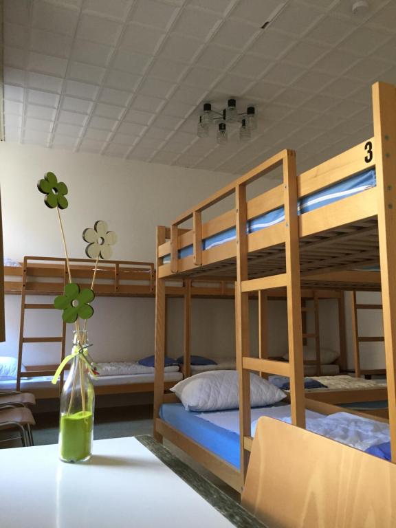 Voodi või voodid majutusasutuse Ostello Montebello - Bellinzona Youth Hostel toas