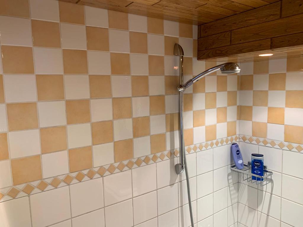 a shower in a bathroom with a tiled wall at Ysermonde Fisherman's Cottage in Nieuwpoort