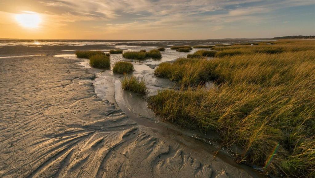 - Vistas aéreas a la playa al atardecer en L'ENTRE 2 COTES en Le Tréport