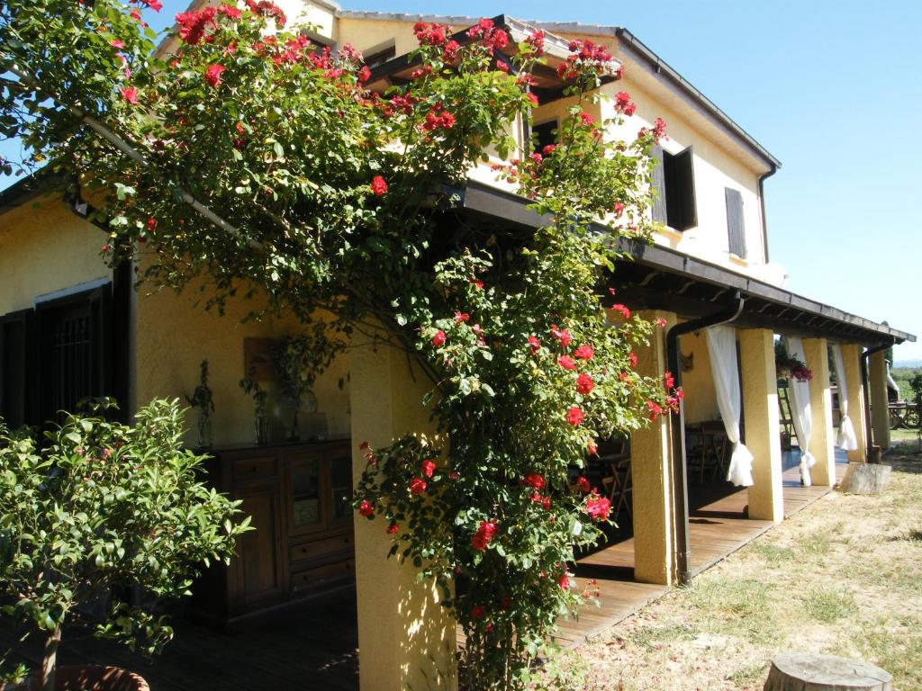 a house with red flowers on the side of it at Casolare Casa Ricci in Riotorto