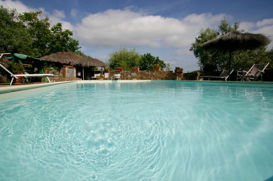 duży basen z niebieską wodą w obiekcie Villa Giulia a "Casa Conti di Sotto" w mieście Gavorrano