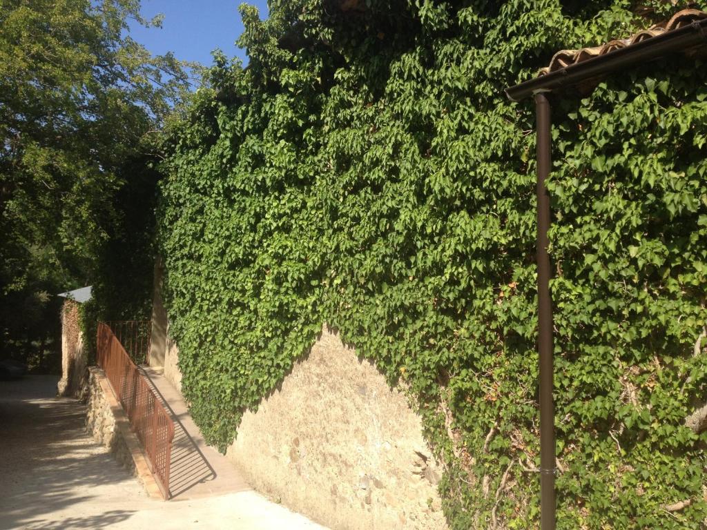 Zahrada ubytování Agriturismo L'Antico Casale