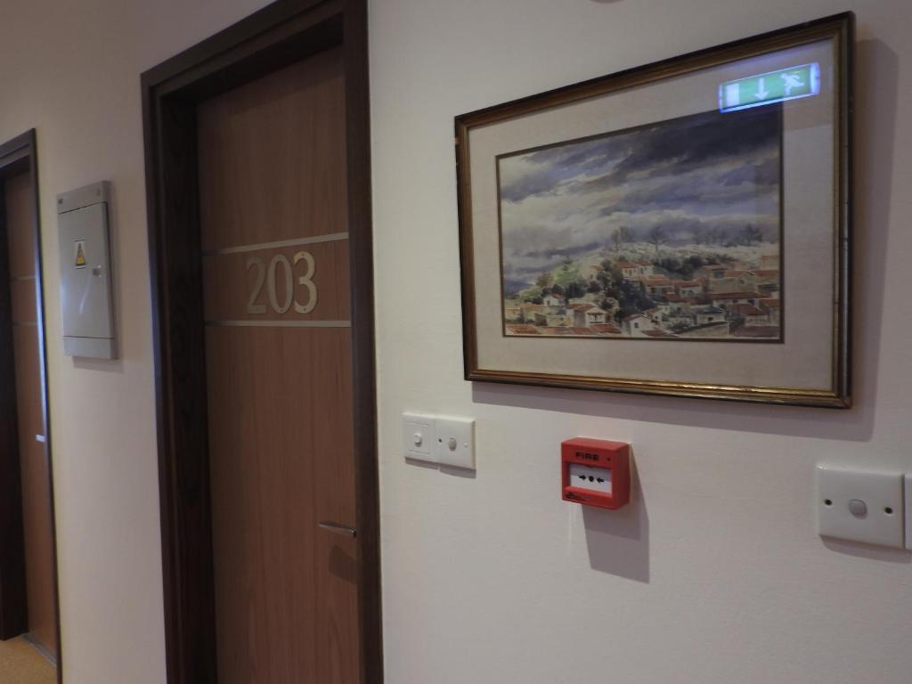 a painting hanging on a wall next to a door at Hill View Hotel Apartments in Pissouri