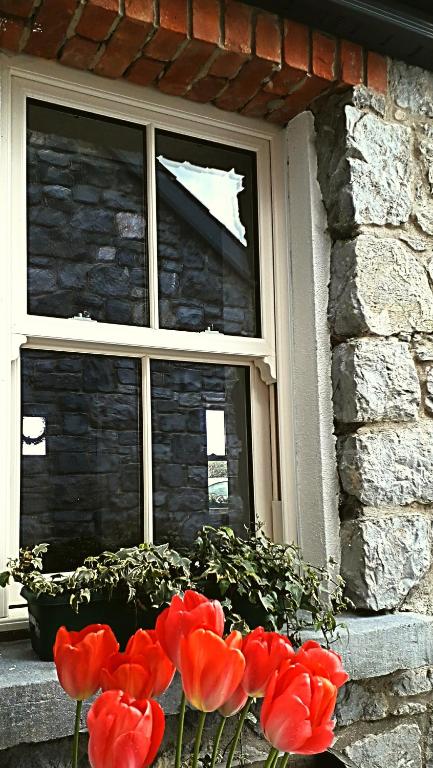 Fotografie z fotogalerie ubytování Ash Cottage v destinaci Ardagh