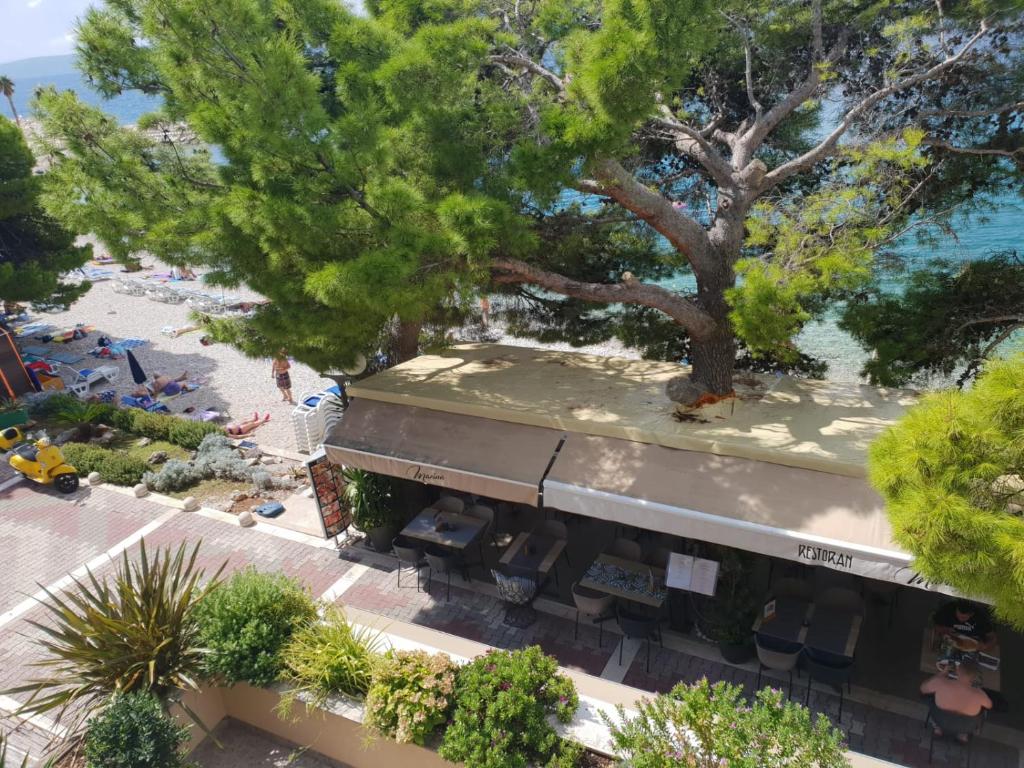uma vista sobre uma praia com uma árvore e um edifício em Guesthouse Marina em Tučepi