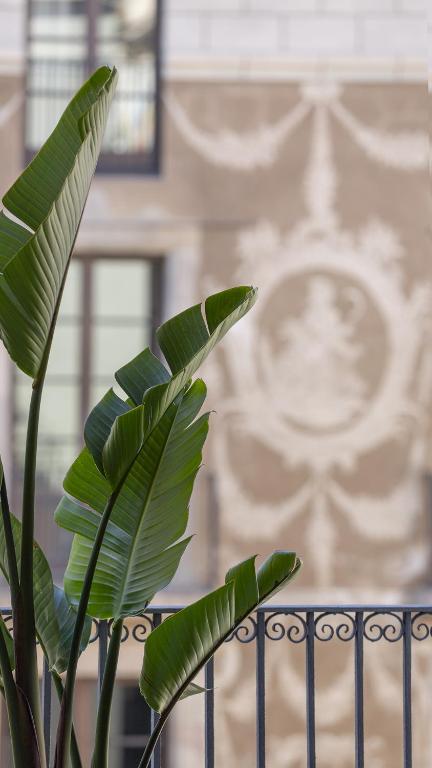 Fotografie z fotogalerie ubytování Hostal Sol y K v destinaci Barcelona