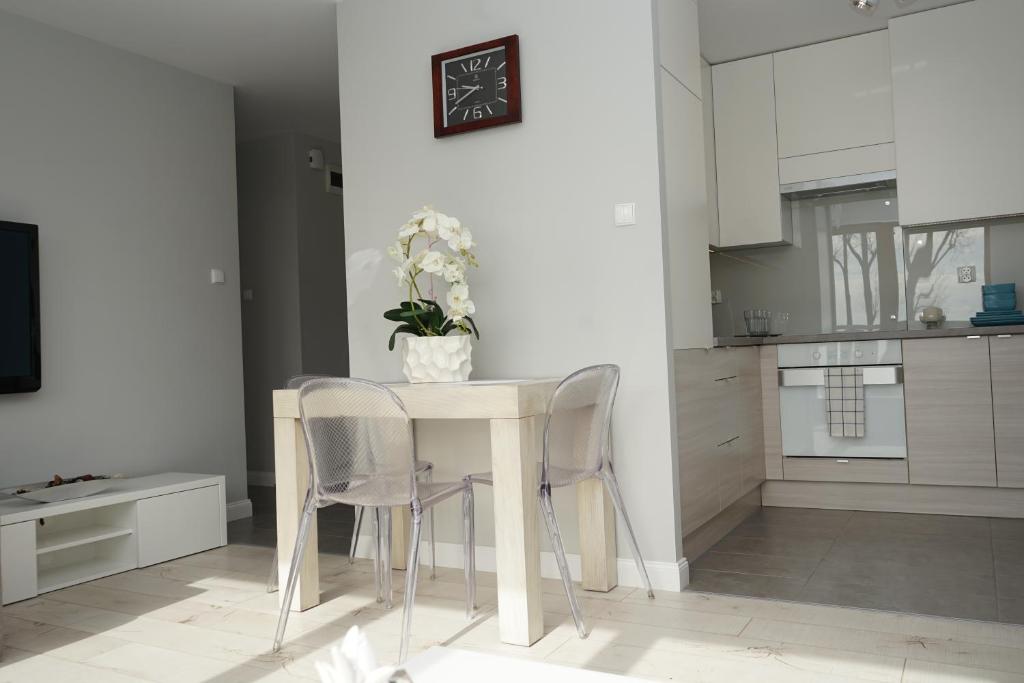 Kuchyňa alebo kuchynka v ubytovaní Apartament Nadjeziorna
