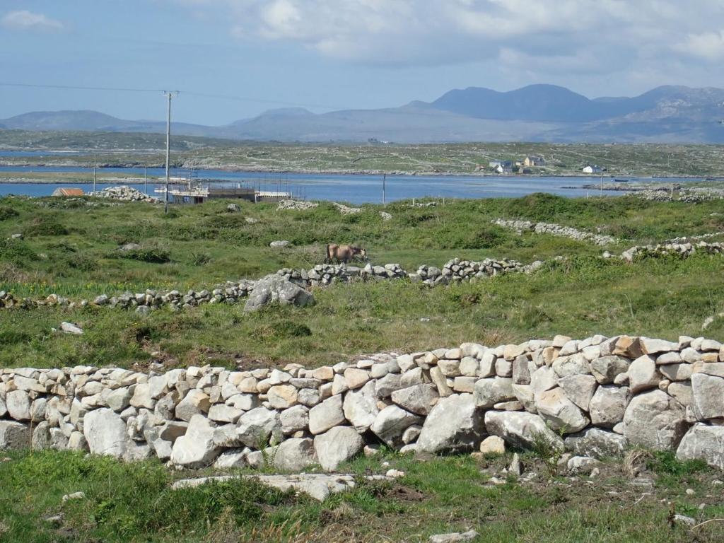 Paesaggio naturale nelle vicinanze di questo campeggio di lusso