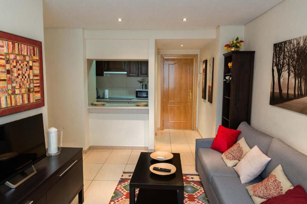TV a/nebo společenská místnost v ubytování Apartamentos Duque
