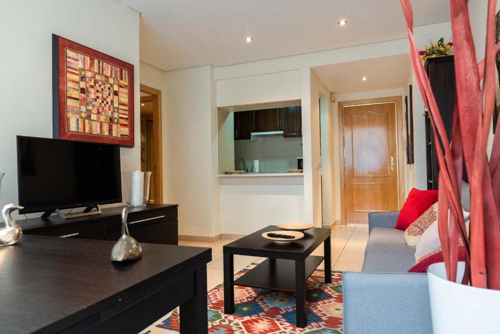 TV a/nebo společenská místnost v ubytování Apartamentos Duque