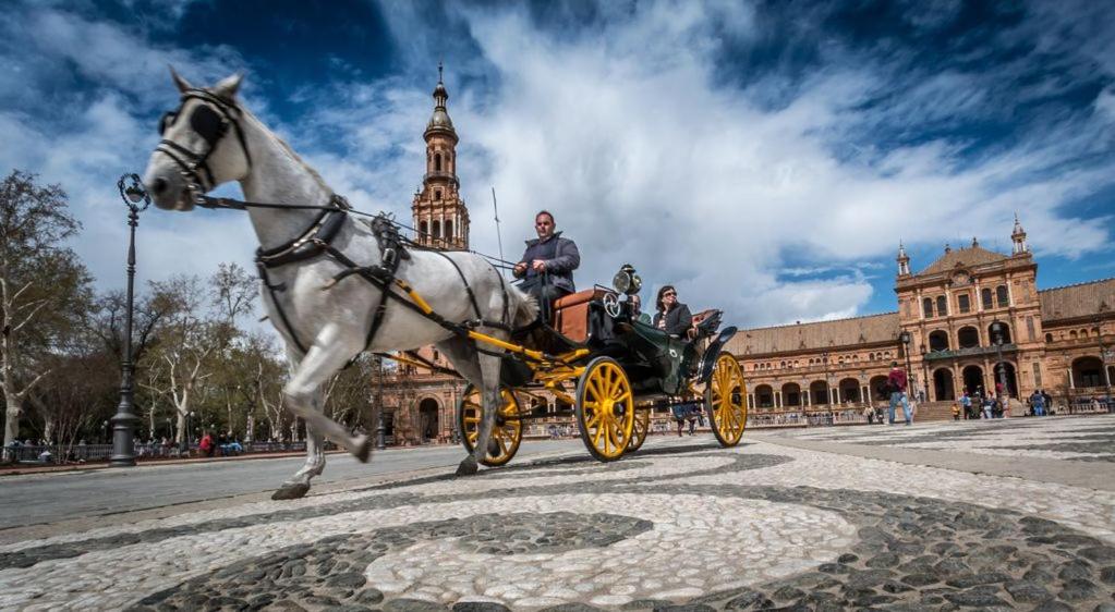 Goście zatrzymujący się w obiekcie Loft Aire Sevilla Cathedral