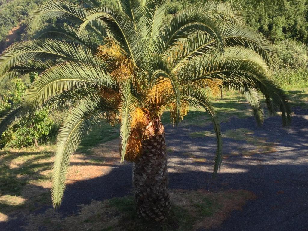 Fotografie z fotogalerie ubytování Agriturismo L'Antico Casale v destinaci Altomonte