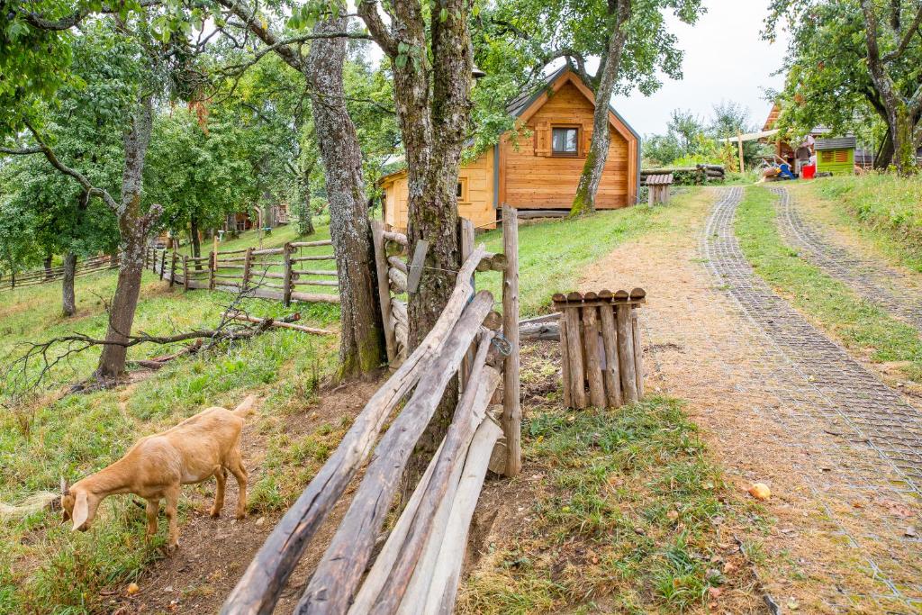 Zahrada ubytování Glamping Organic Farm Slibar