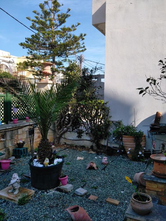 A garden outside Evelia Apartment