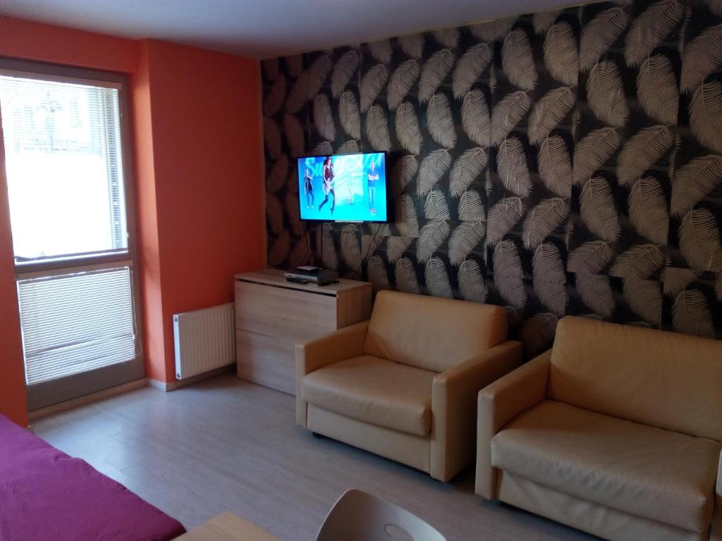 TV a/nebo společenská místnost v ubytování Apartmán Sofie se zahrádkou