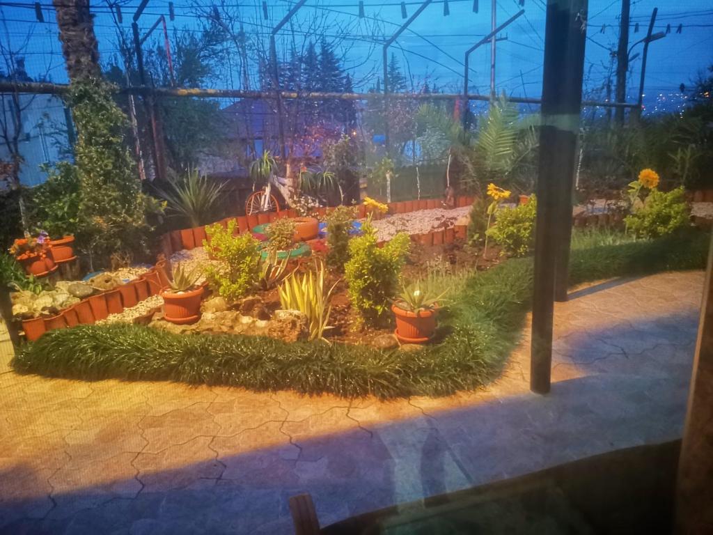 Zahrada ubytování Hostel Sadu Kutaisi