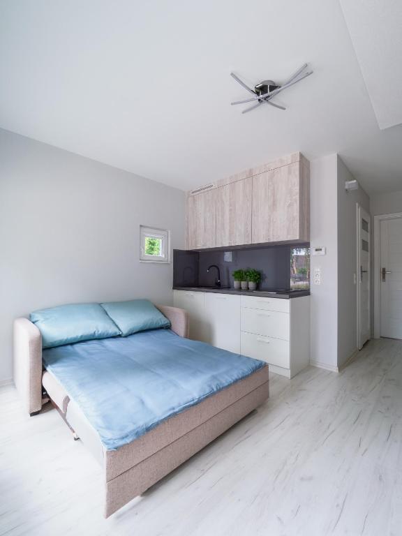Kuchyň nebo kuchyňský kout v ubytování Parkova Apartamenty