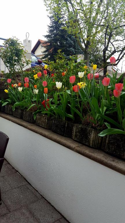 Ferienwohnung Am Eck - 2