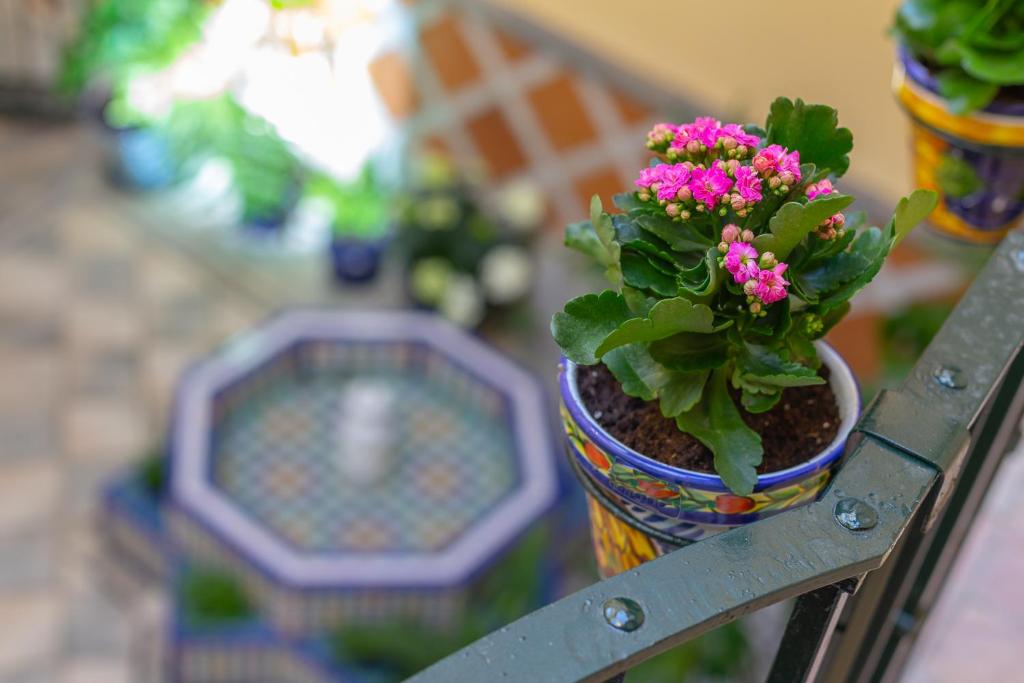Casa Miraflores - imagen 4