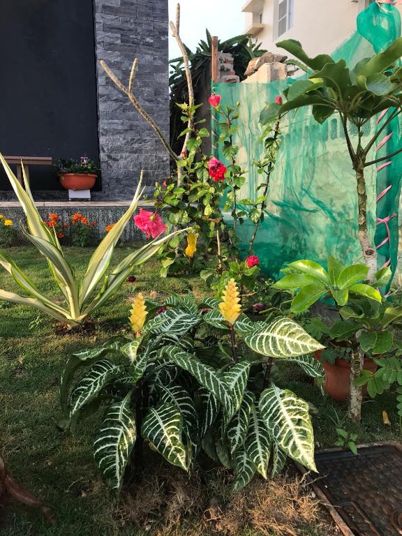 Zahrada ubytování Good Nest Homestay