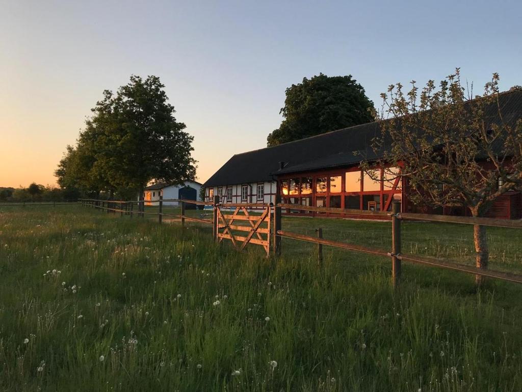 a barn in a field with a fence at SOEDER Countryhouse & Kitchen in Båstad