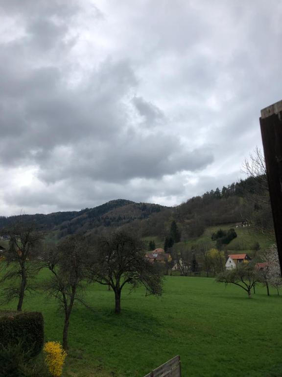 un campo verde con árboles y montañas al fondo en Petit week end dans la vallée, en Breitenbach-Haut-Rhin