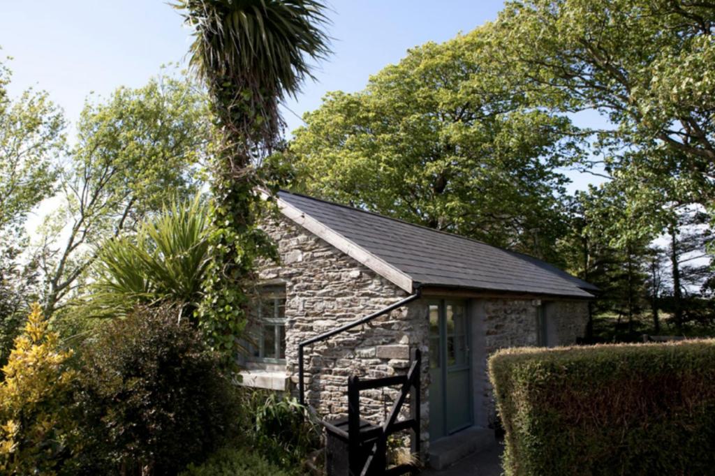 a stone cottage with a blue door and a palm tree at Charming old stables studio cottage in Clonakilty
