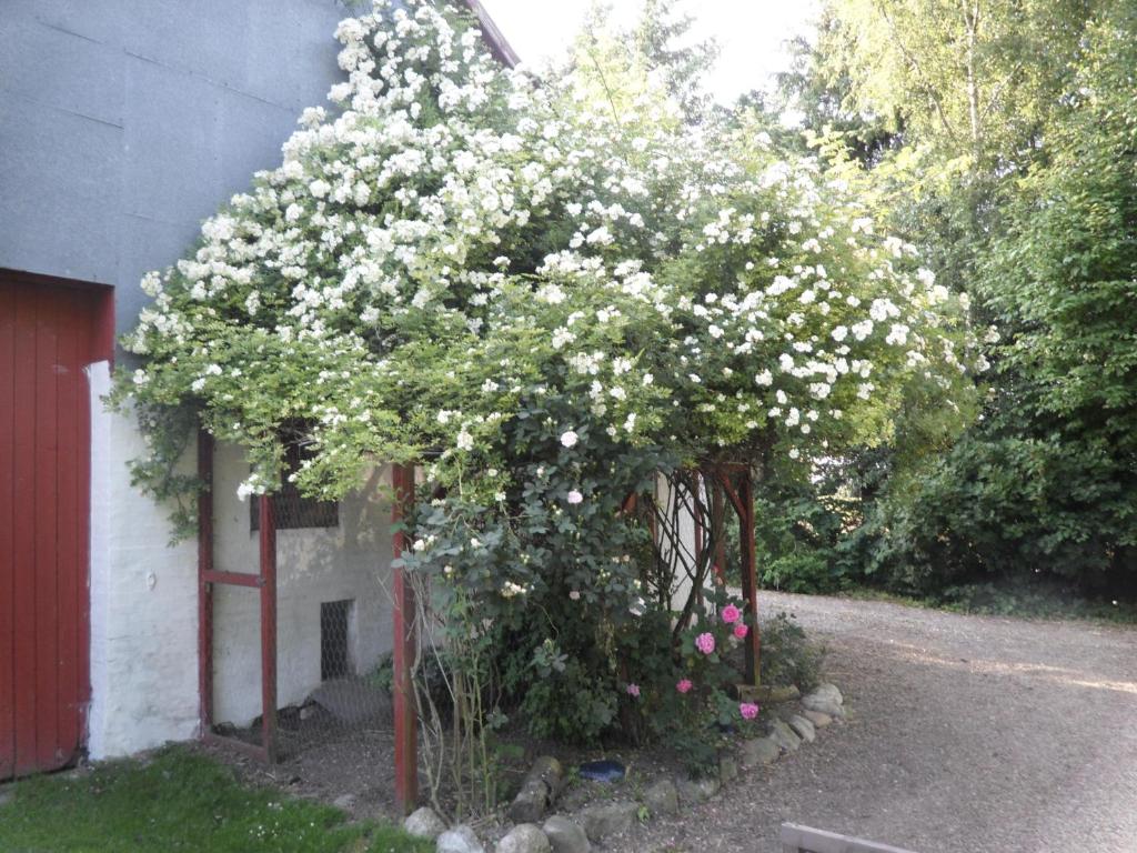 Zahrada ubytování Lille Degnbøl