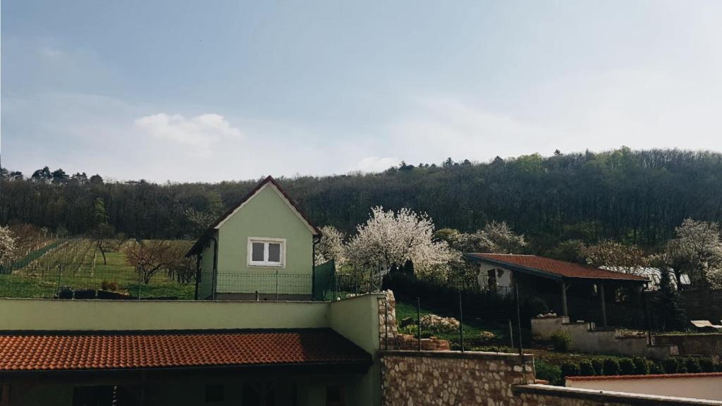 Przyroda w pobliżu tego pensjonatu