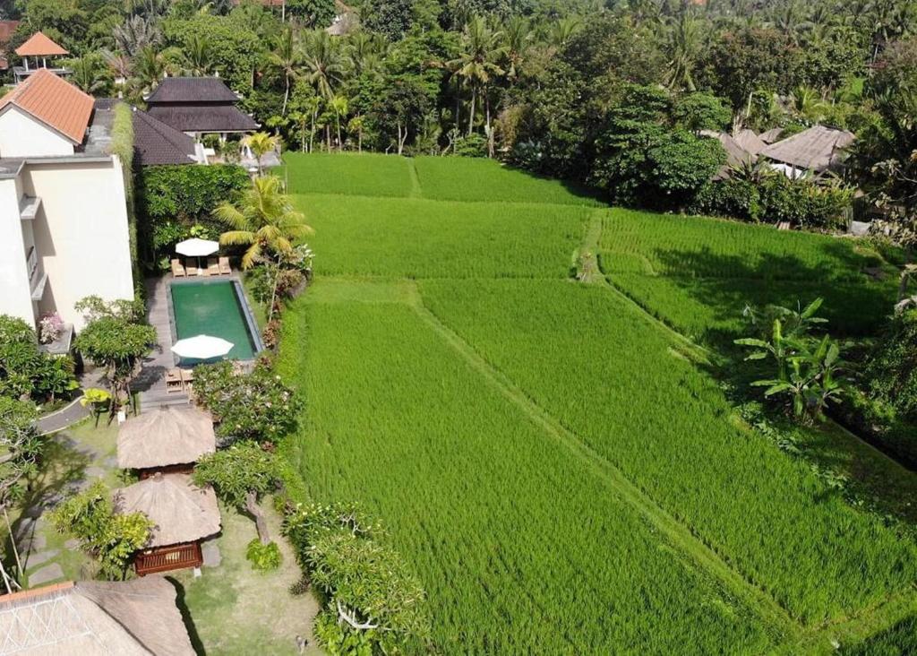eine Luftansicht einer Villa mit einem Pool auf einem Reisfeld in der Unterkunft Byasa Ubud in Ubud