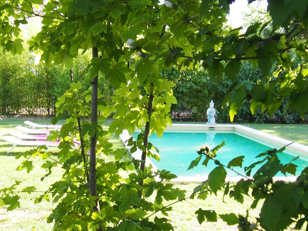 una piscina en medio de un patio con árboles en L'Islo Bamboo, en Saumane-de-Vaucluse