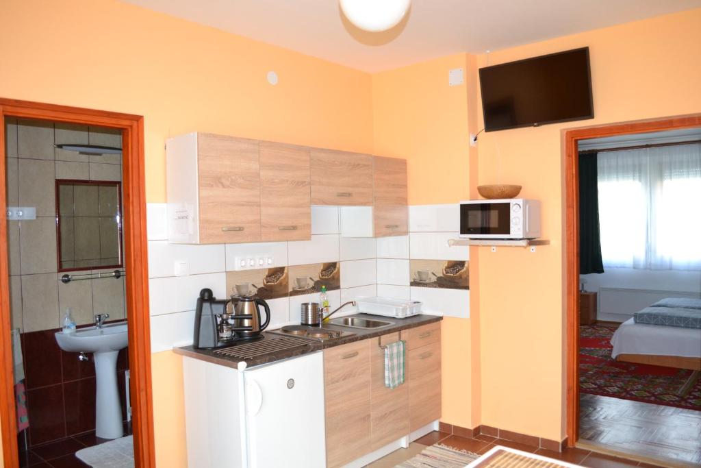 uma pequena cozinha com um lavatório e um micro-ondas em Liliom Apartman em Gyula