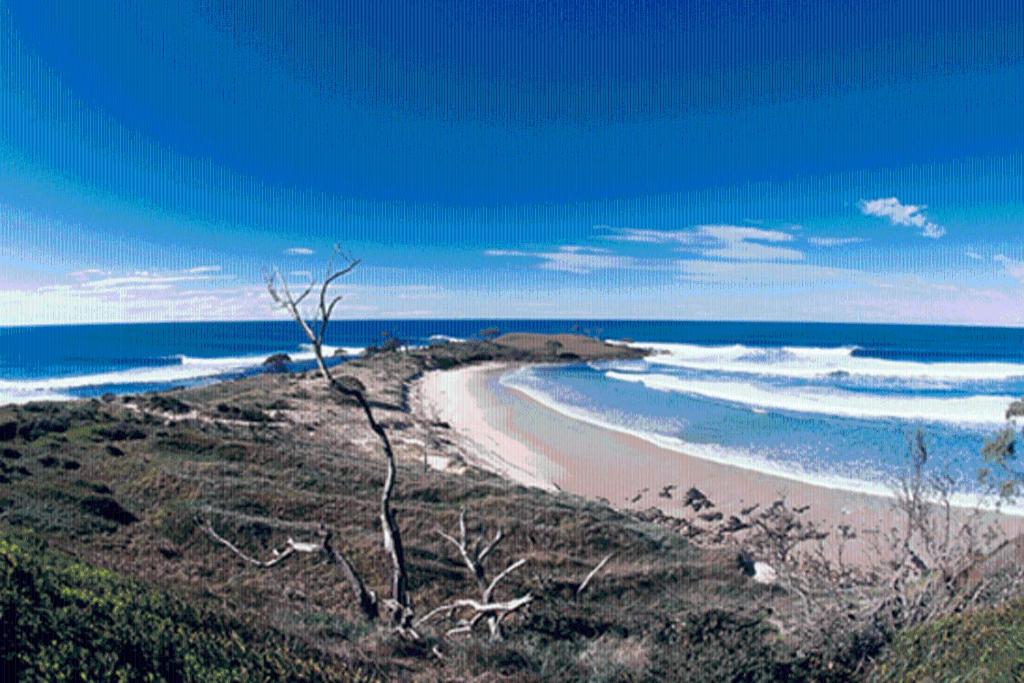 
a sandy beach with a view of the ocean at Yamba Central in Yamba
