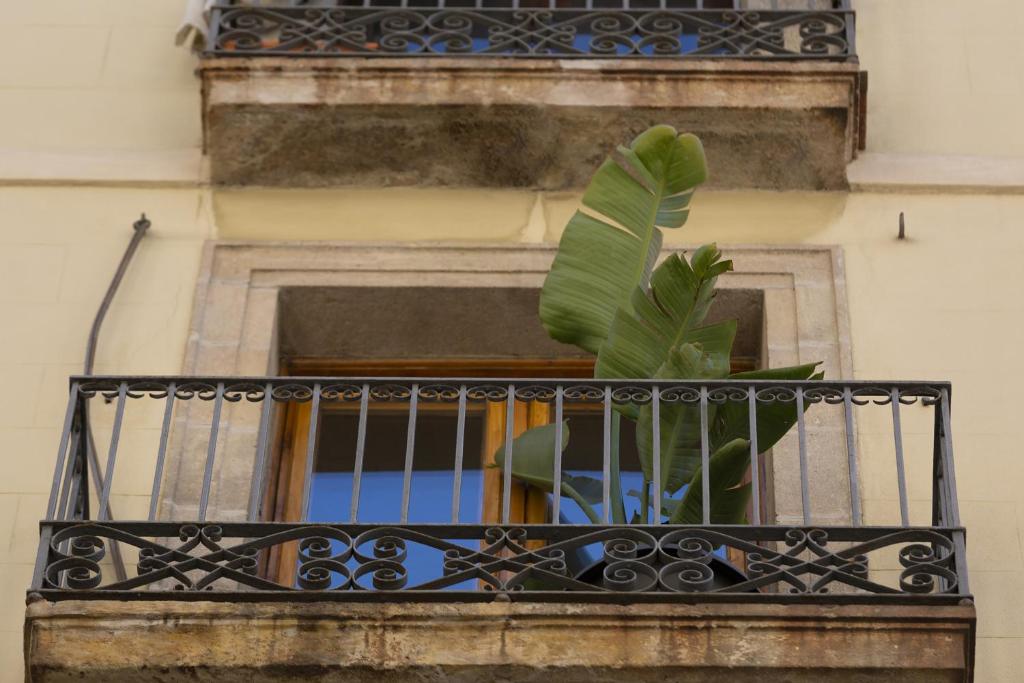 Balkón nebo terasa v ubytování Hostal Sol y K