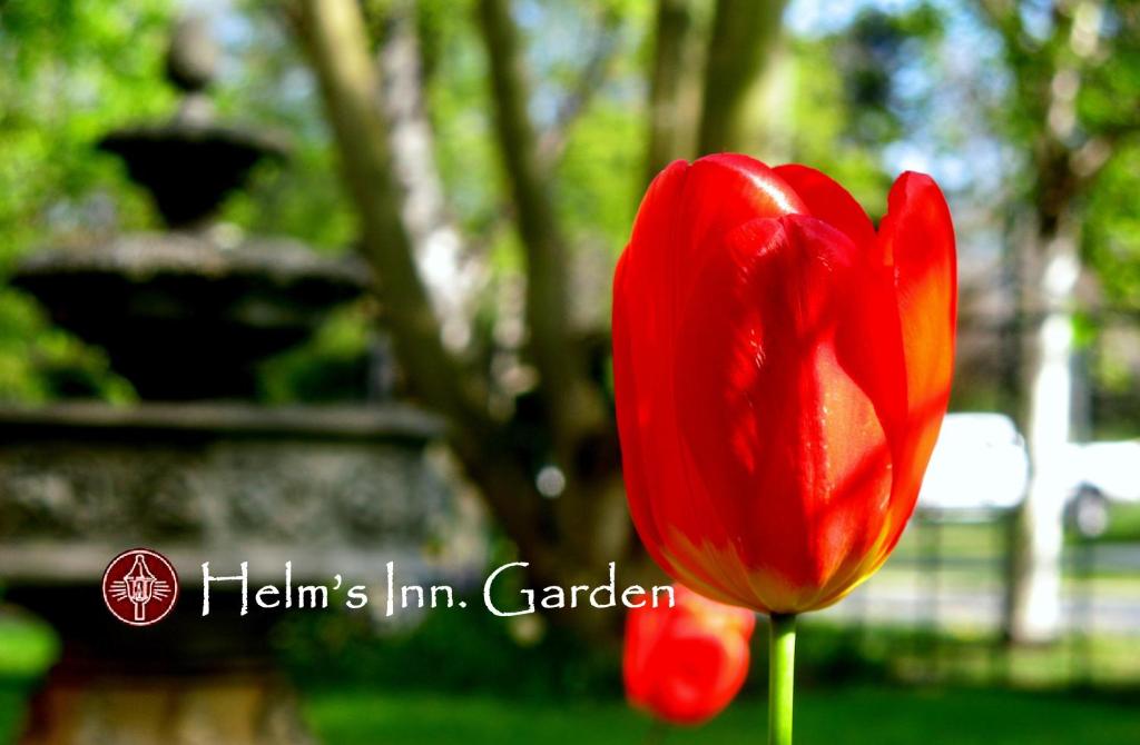 Een tuin van Helm's Inn