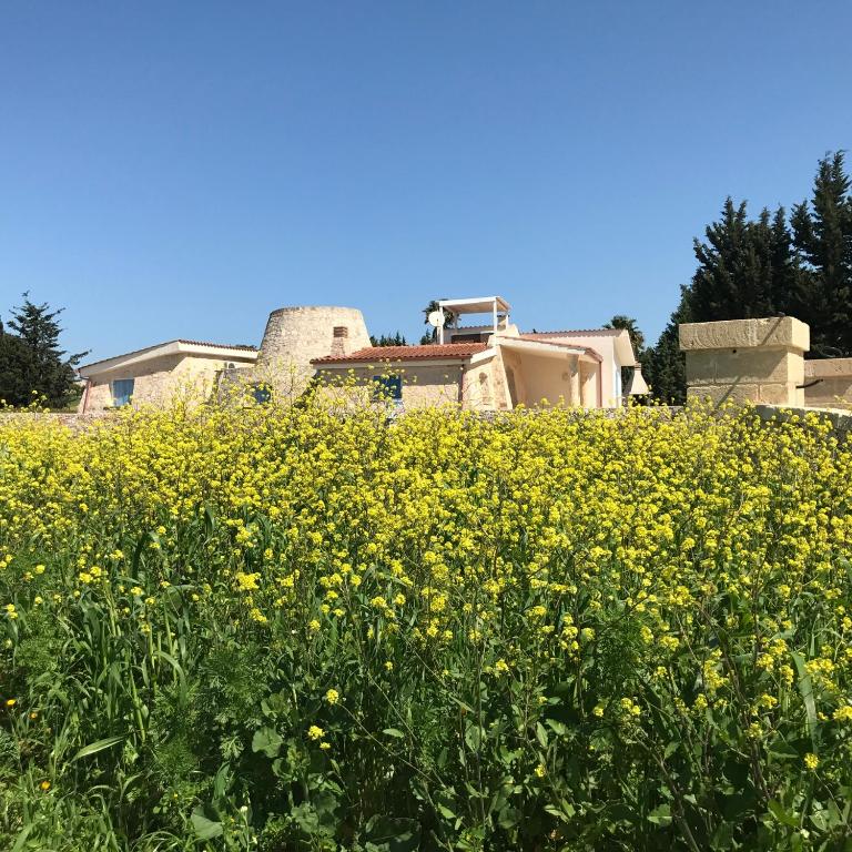 A garden outside Villa Trullo di Angela