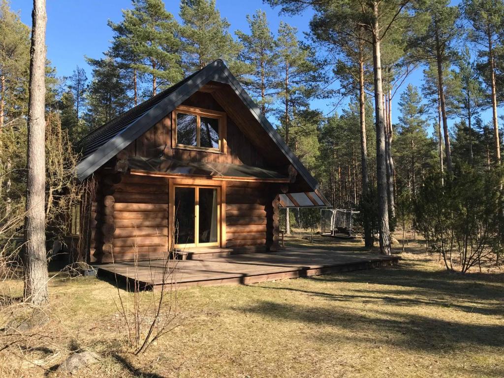 a small log cabin in the woods at Pootsmani maja in Paatsalu