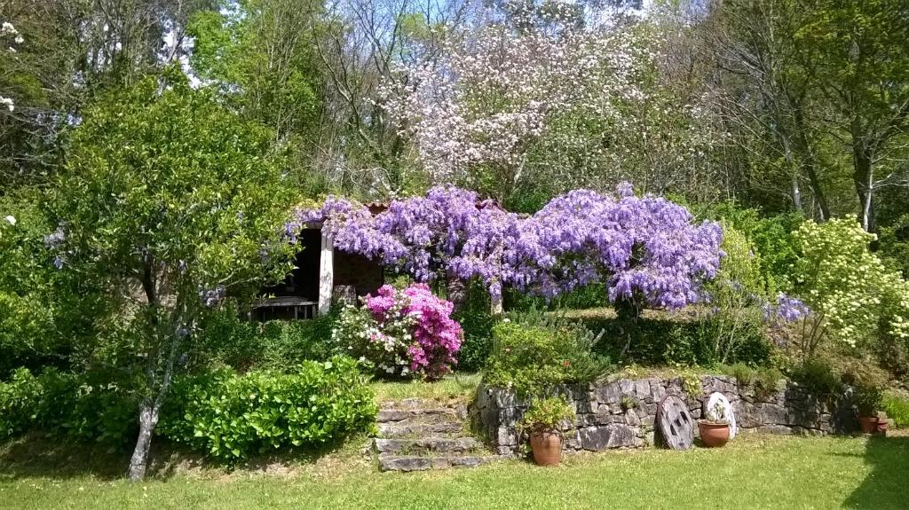 een tuin met paarse bloemen en een stenen muur bij O Lughar Darriba Fogar Natural in Gallardo