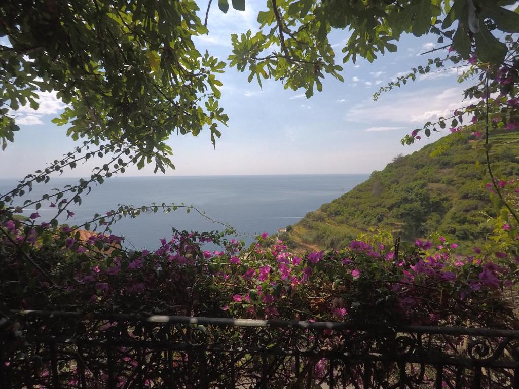 a view of the ocean from a hill with flowers at OLD FARM HOUSE in Riomaggiore