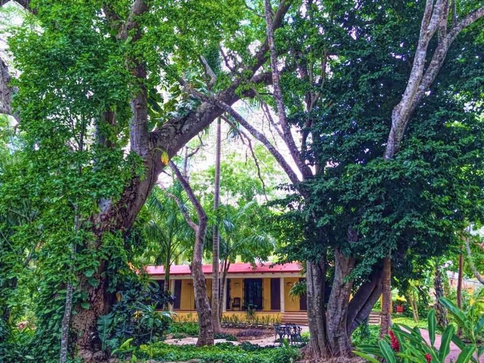 Zahrada ubytování Hacienda Chichen Resort and Yaxkin Spa
