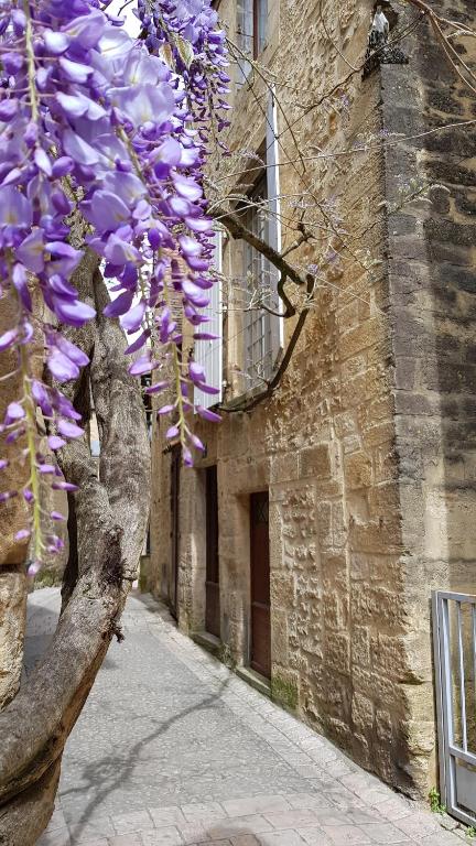 a tree with purple flowers on it next to a building at Le Rousseau Sarlat in Sarlat-la-Canéda