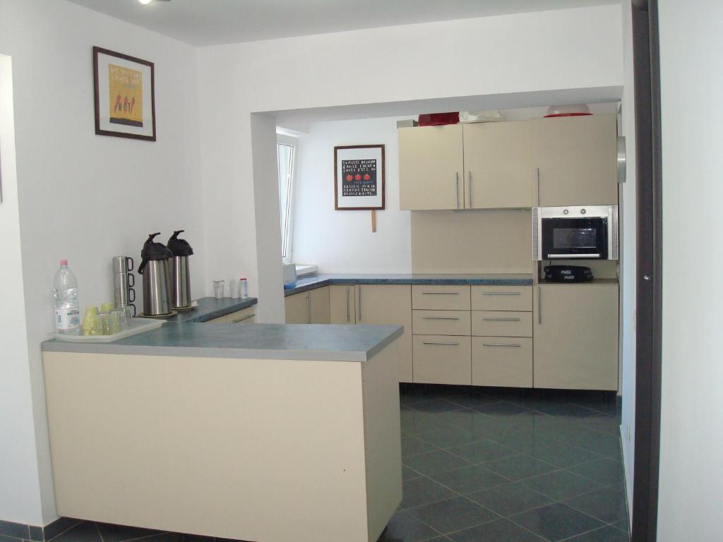 Kuchyň nebo kuchyňský kout v ubytování Pension Oasis