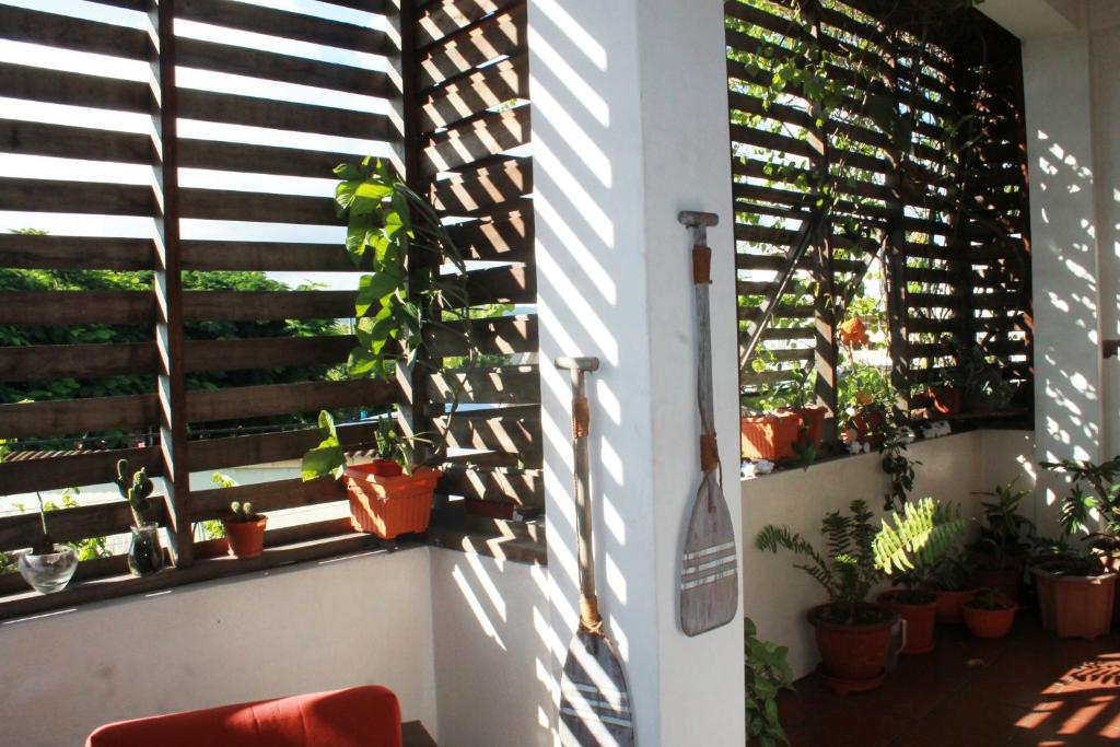 Zahrada ubytování Posada del Mar